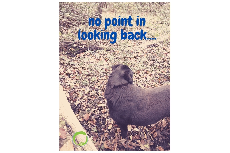 No point in looking back too often.....